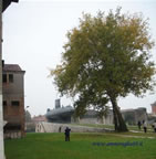 sommergibile Dandolo arsenale militare marittimo venezia